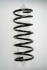 SPIDAN 48632 Coil Spring